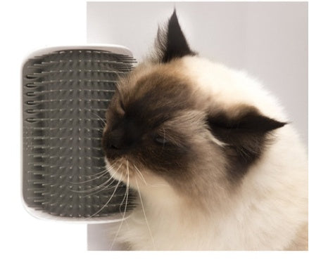 Cat using a self-grooming brush on a white background