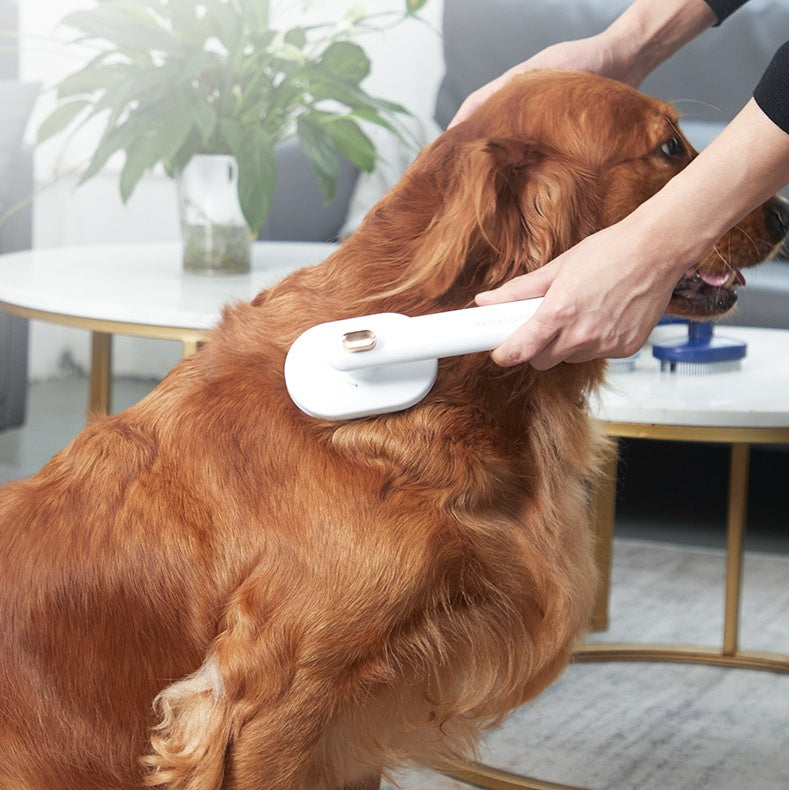 Person grooming a brown dog with a white grooming brush in a living room setting.