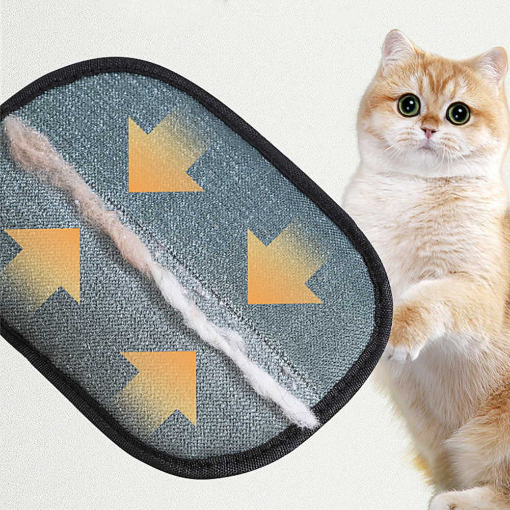 Cat Grooming Glove with Silicone Tips