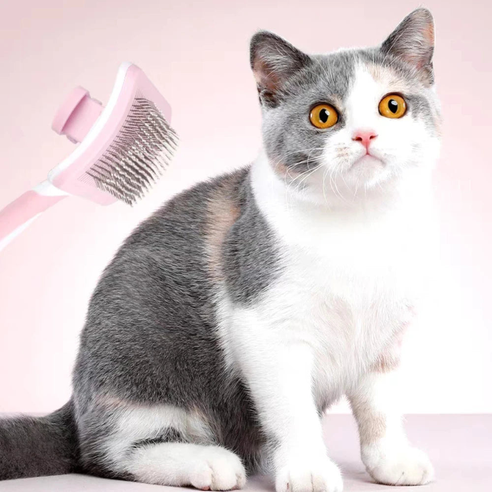 Cat with a pink grooming brush on a light pink background